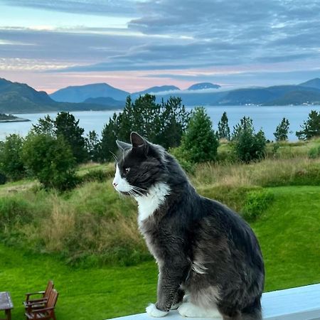 Apartamento Wake Up To A Beautiful View And Smell Of The Sea Kristiansund Exterior foto