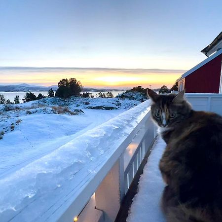 Apartamento Wake Up To A Beautiful View And Smell Of The Sea Kristiansund Exterior foto