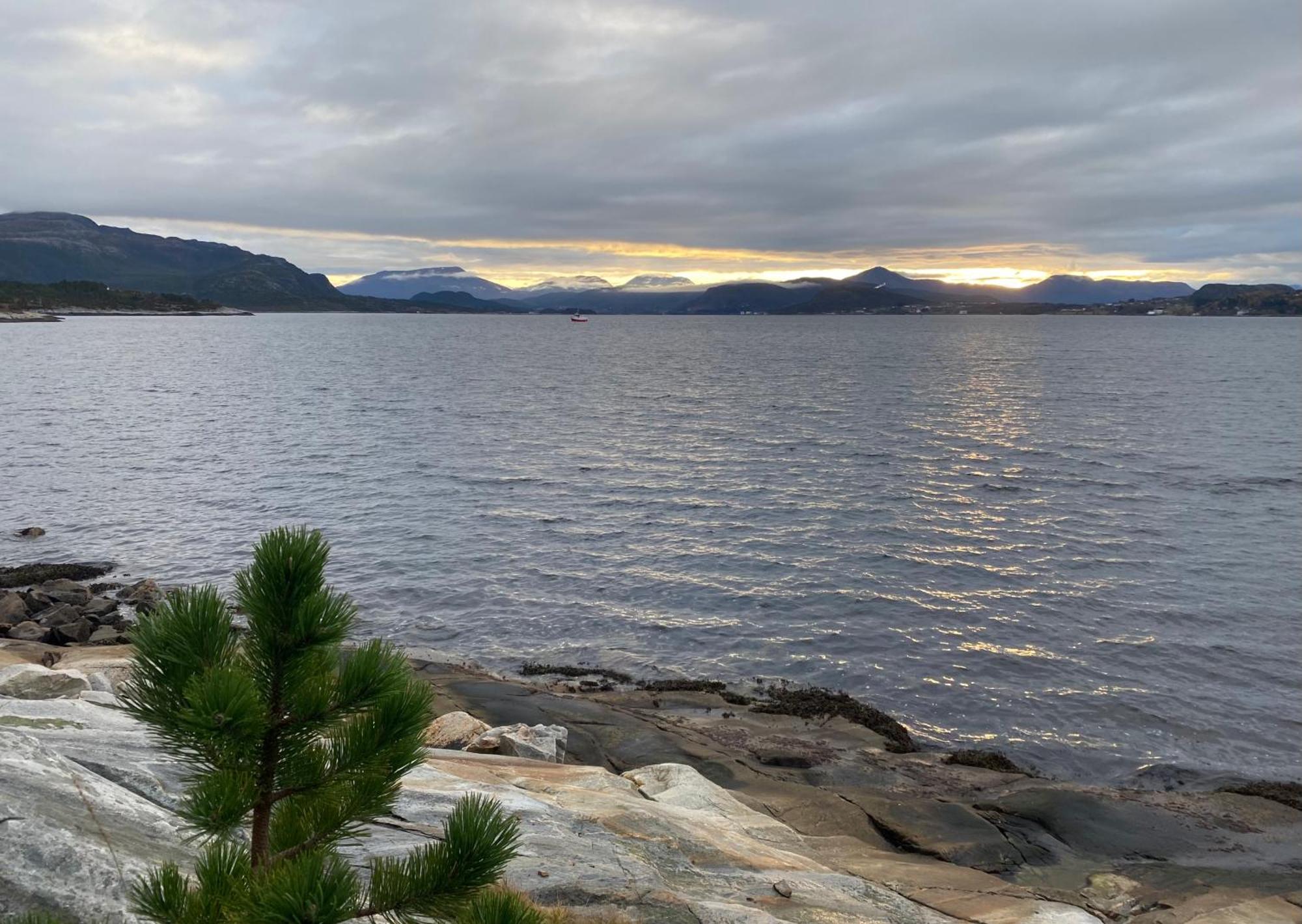 Apartamento Wake Up To A Beautiful View And Smell Of The Sea Kristiansund Exterior foto